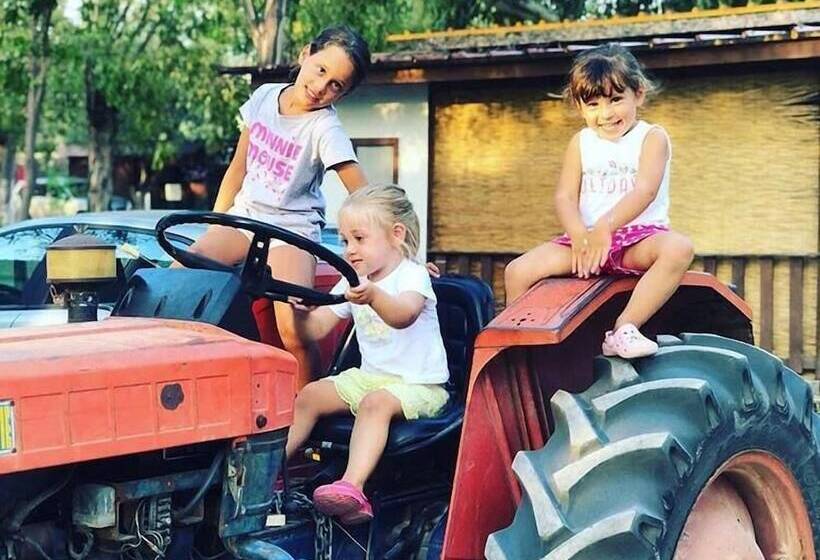 Отель Camping Lo Ionio