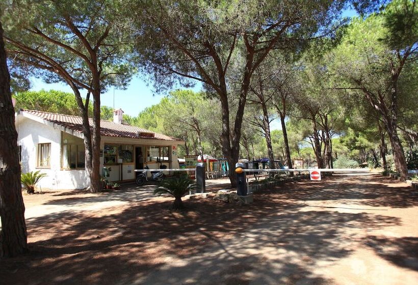 בית מלון כפרי Camping Bella Sardinia