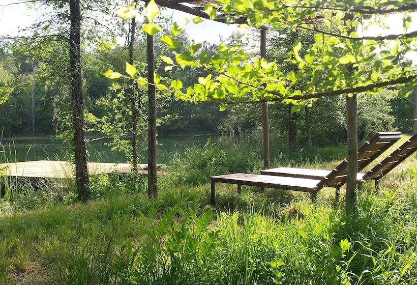 فندق ريفى Agricampeggio Madonna Di Pogi