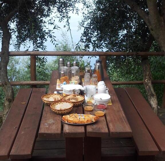 田舎風ホテル Agririfugio Molini