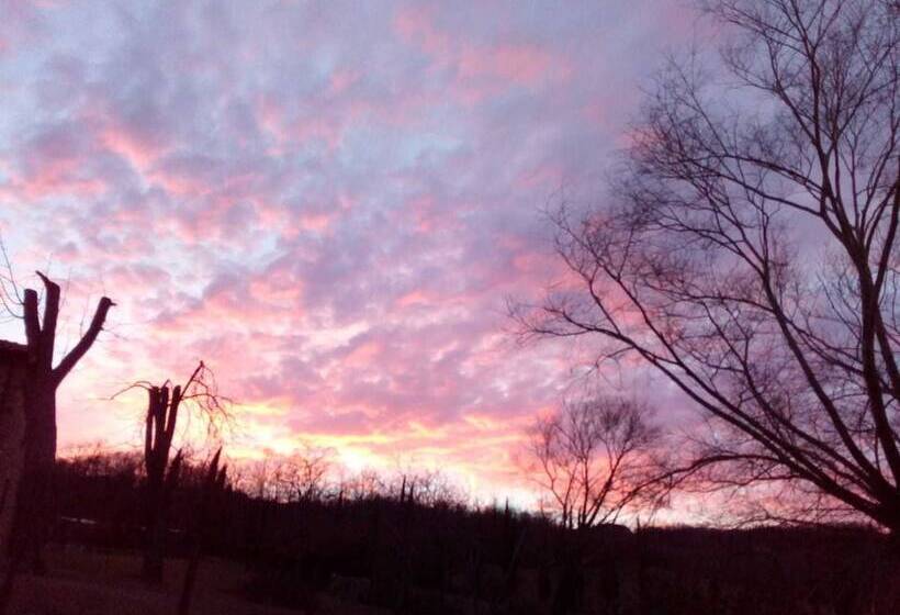 Сельский отель Agriturismo Castagneto Picci