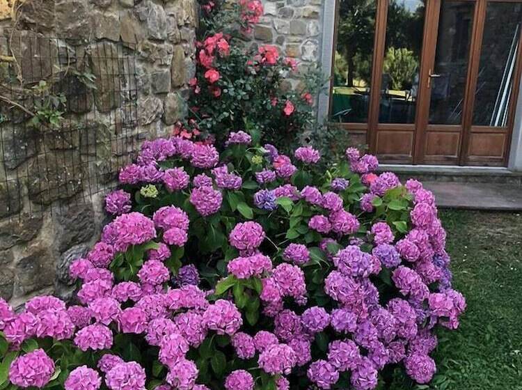 Сельский отель Agriturismo Castagneto Picci