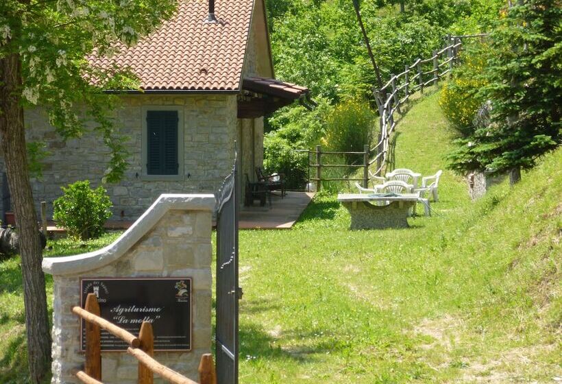 Сельский отель Agriturismo La Motta