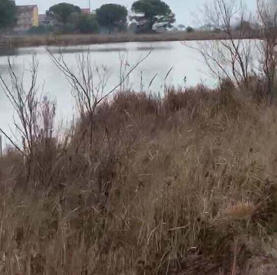 בית מלון כפרי Quietovivere