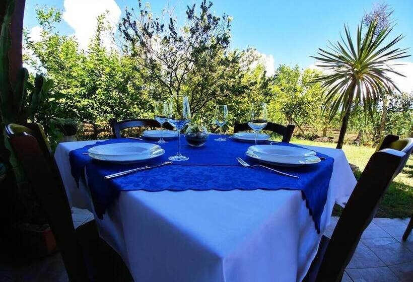 乡村酒店  Agriturismo Sa Pramma