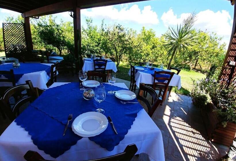 乡村酒店  Agriturismo Sa Pramma