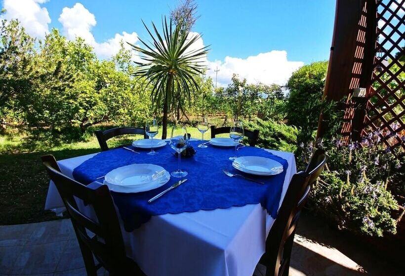 乡村酒店  Agriturismo Sa Pramma