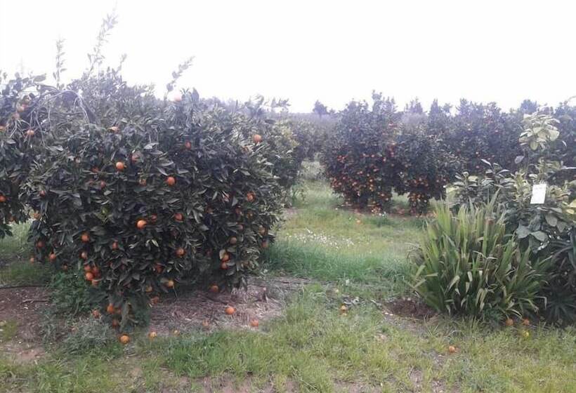 乡村酒店  Agriturismo Sa Pramma