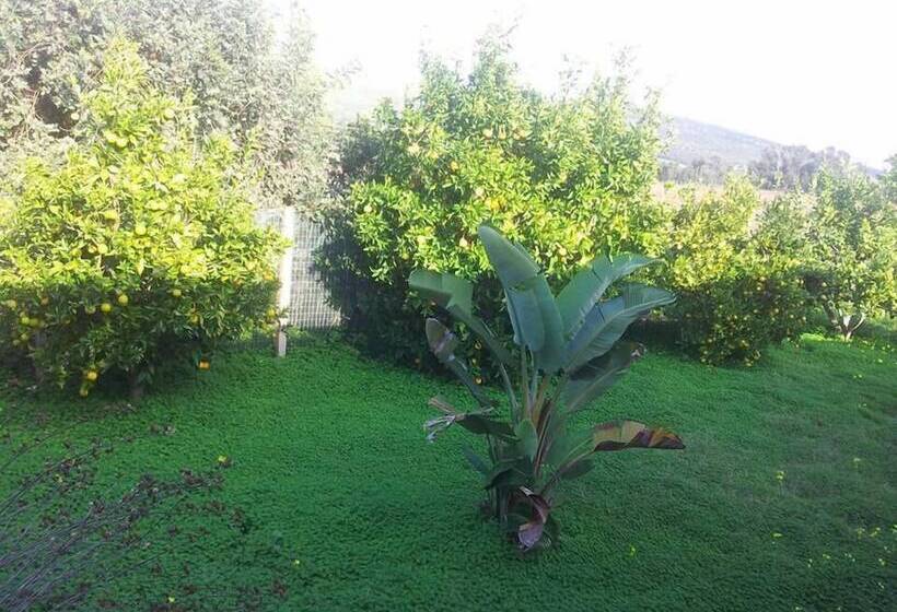 乡村酒店  Agriturismo Sa Pramma