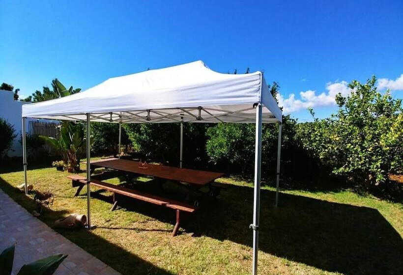 乡村酒店  Agriturismo Sa Pramma