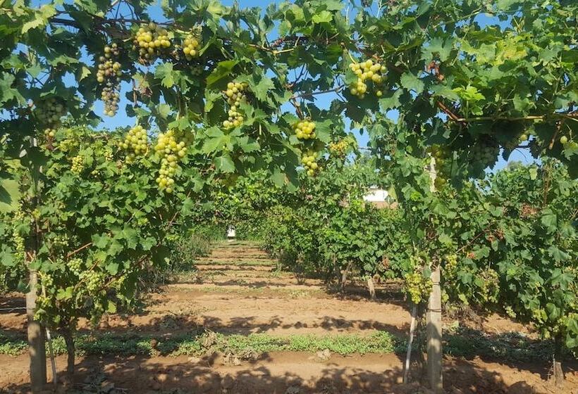 乡村酒店  Agriturismo Sa Pramma