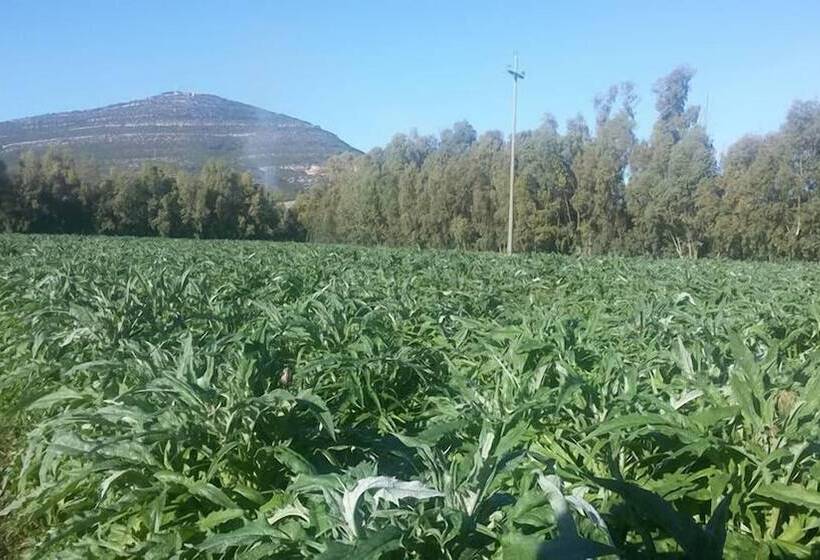 乡村酒店  Agriturismo Sa Pramma