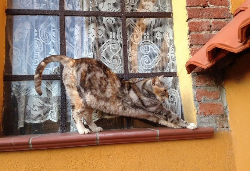 교외 호텔 Cascina Argentera