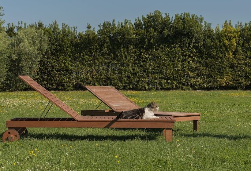 هتل روستایی La Selva