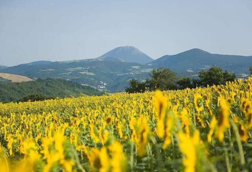 בית מלון כפרי Le Querce