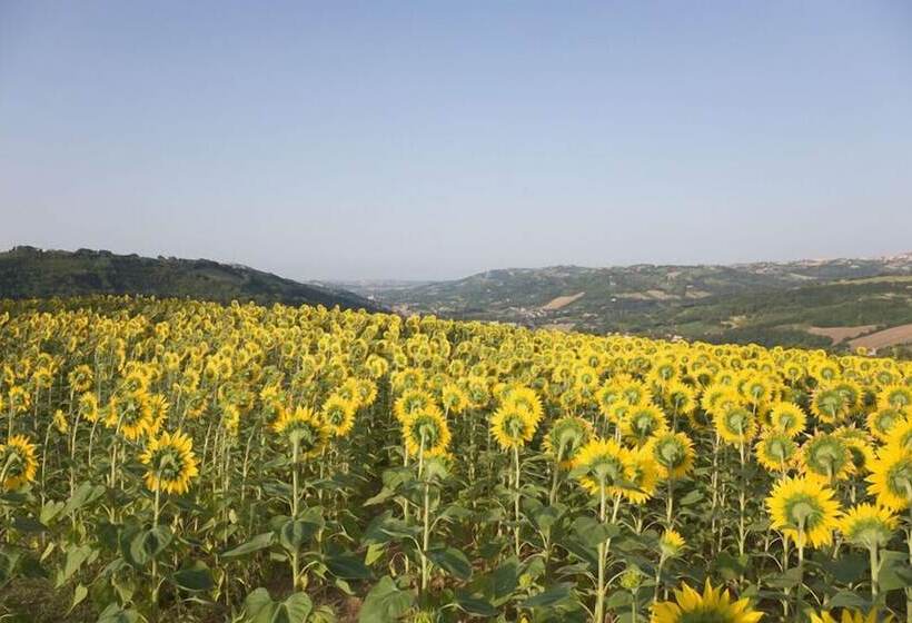 בית מלון כפרי Le Querce