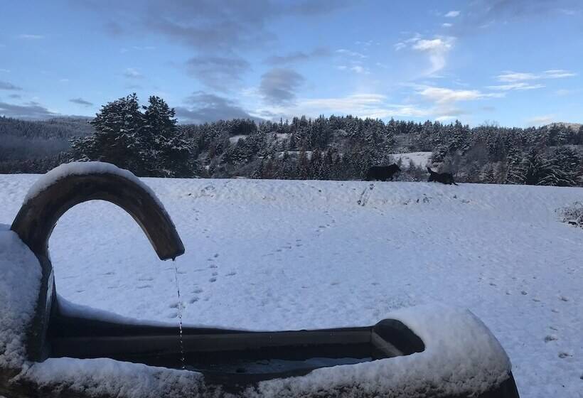 בית מלון כפרי Maso Pertica