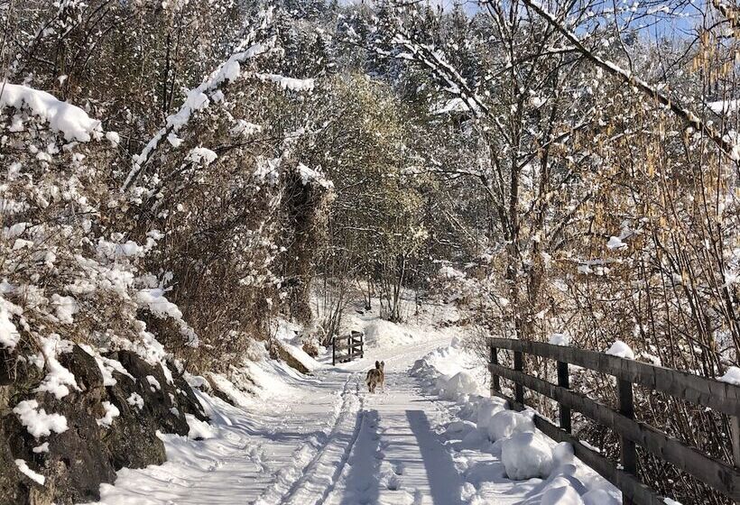 בית מלון כפרי Maso Pertica