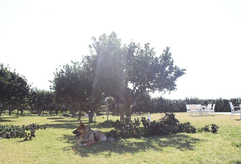 فندق ريفى Tenuta Gli Agrumi Del Salento