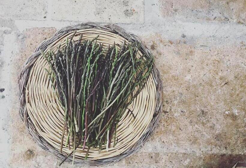 فندق ريفى Villino Odaldo