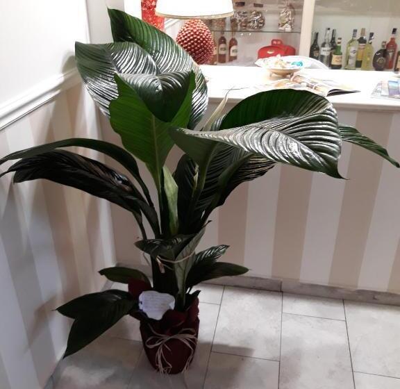 פנסיון A Casa Di Simona