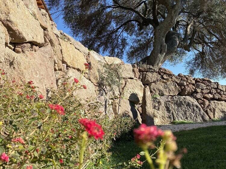 פנסיון Artemisia Sardegna