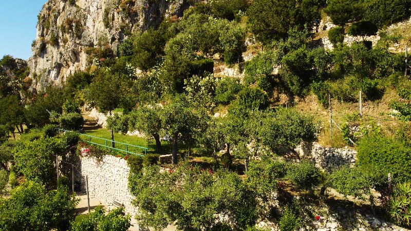 פנסיון Casa Orrico  Blue Grotto