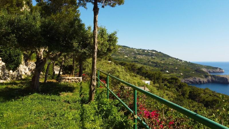 פנסיון Casa Orrico  Blue Grotto