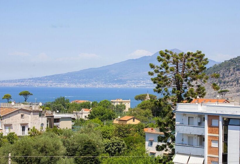 Estate4home Alpa Suite