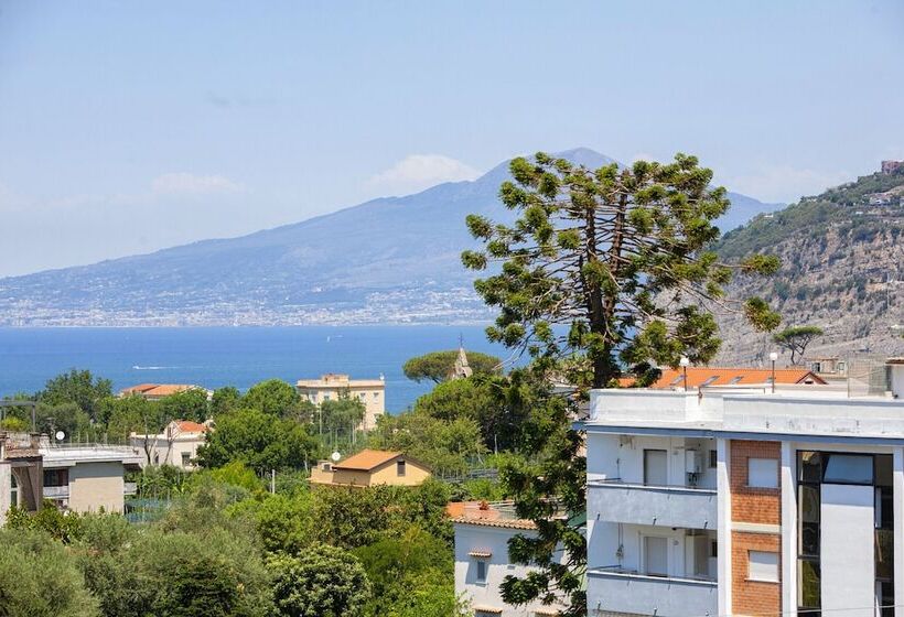 Estate4home Alpa Suite