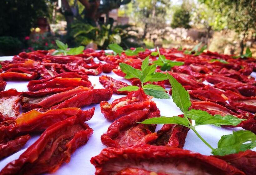 צימר Masseria Borgo Del Gallo