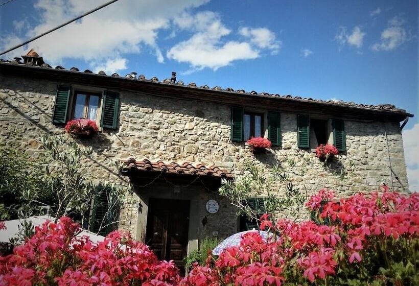 B&b La Margine E Spa