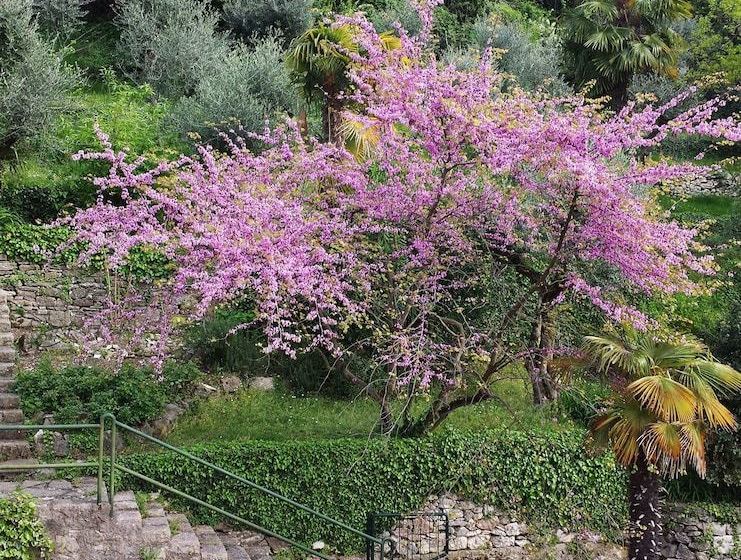 住宿加早餐 Beb My Lake