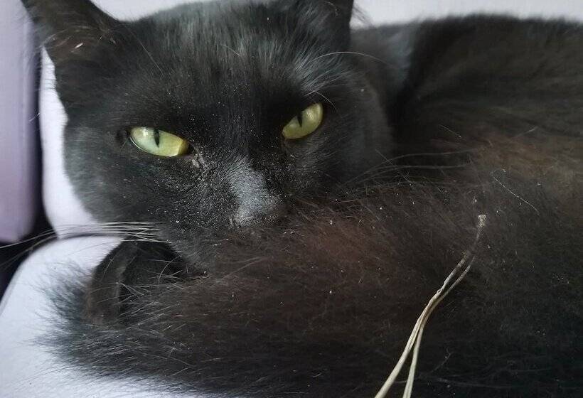 B&b Villa Cinque Pini