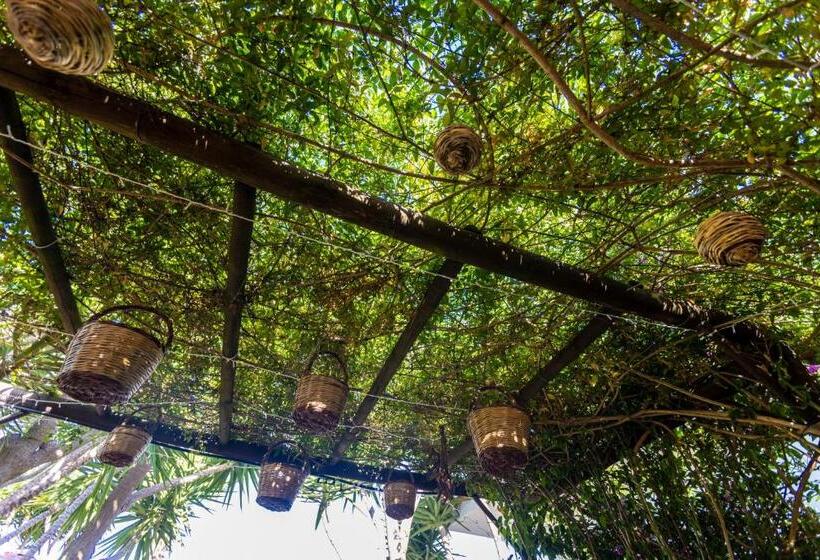 مبيت وإفطار Bed&breakfast Villa Mamma Grazia