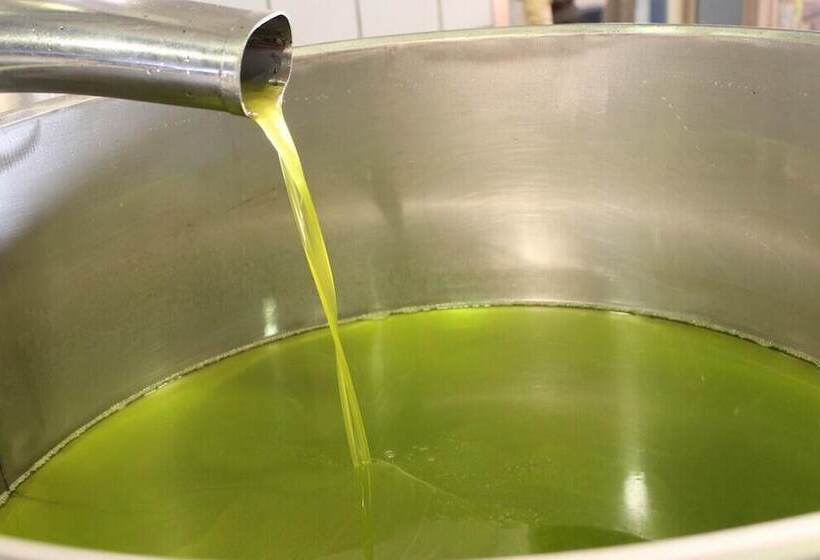 צימר La Meta Eccelsa