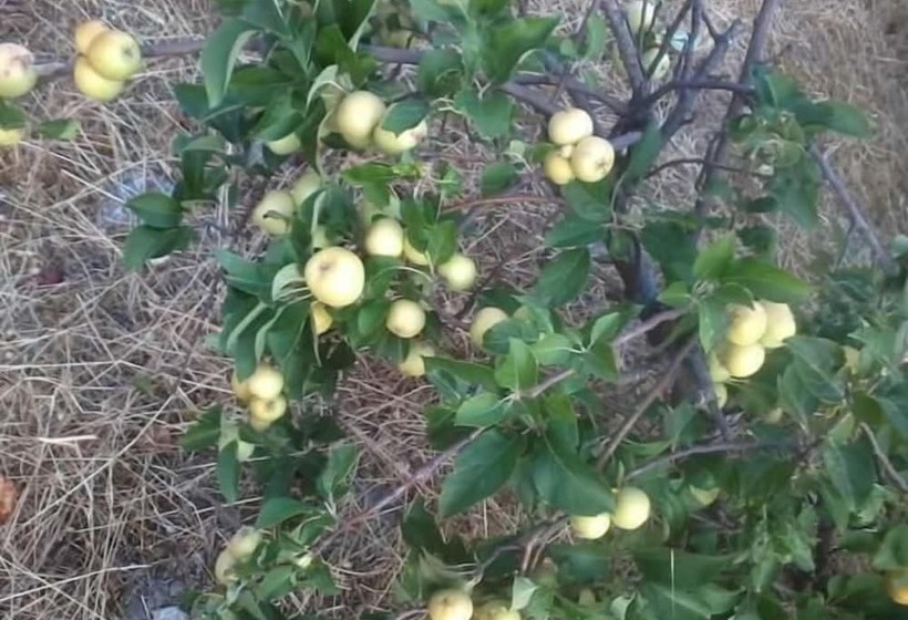 צימר La Meta Eccelsa