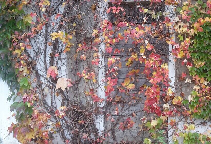 مبيت وإفطار Oasi La Martina