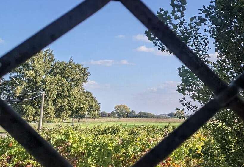 مبيت وإفطار Oasi La Martina