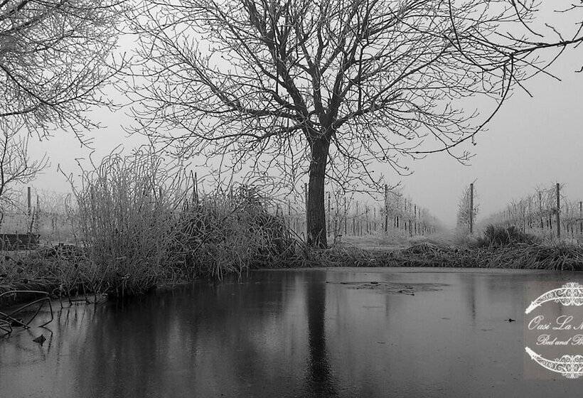 مبيت وإفطار Oasi La Martina