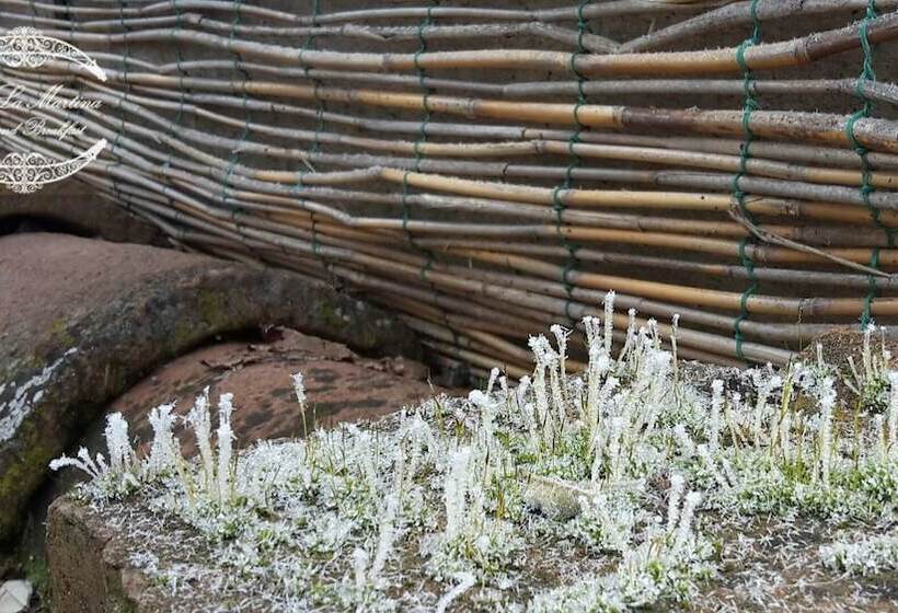 مبيت وإفطار Oasi La Martina