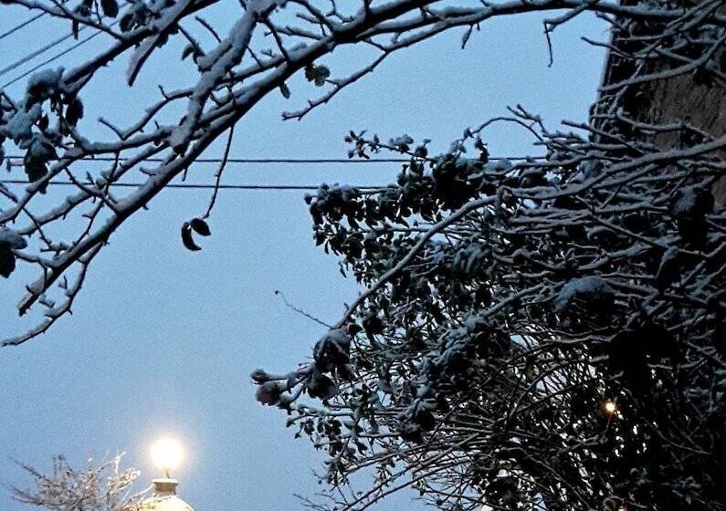 مبيت وإفطار Oasi La Martina