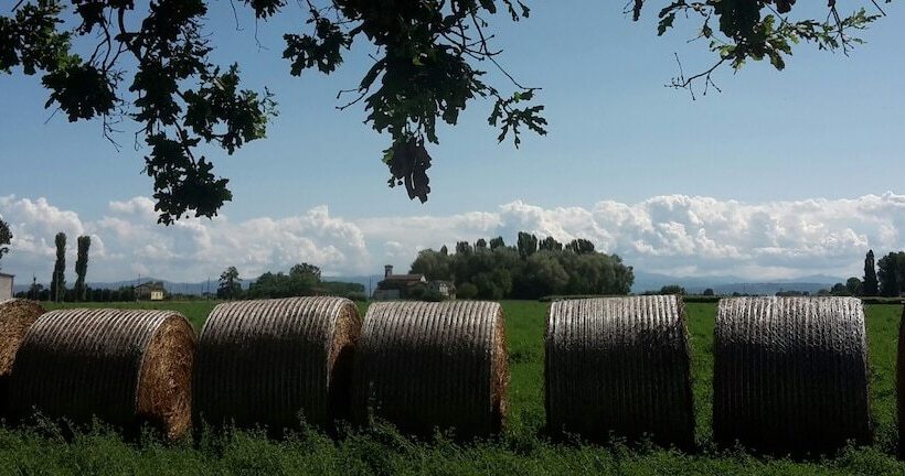 مبيت وإفطار Oasi La Martina