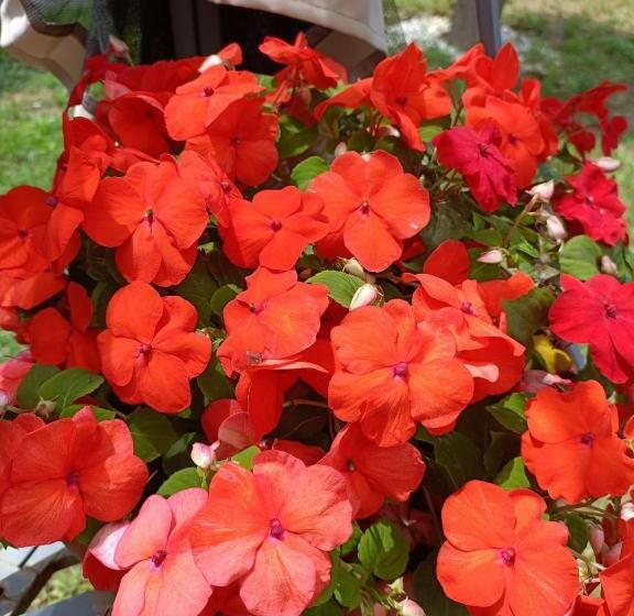 민박 Recanati Family