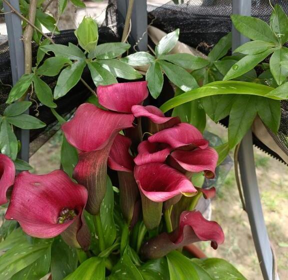 민박 Recanati Family