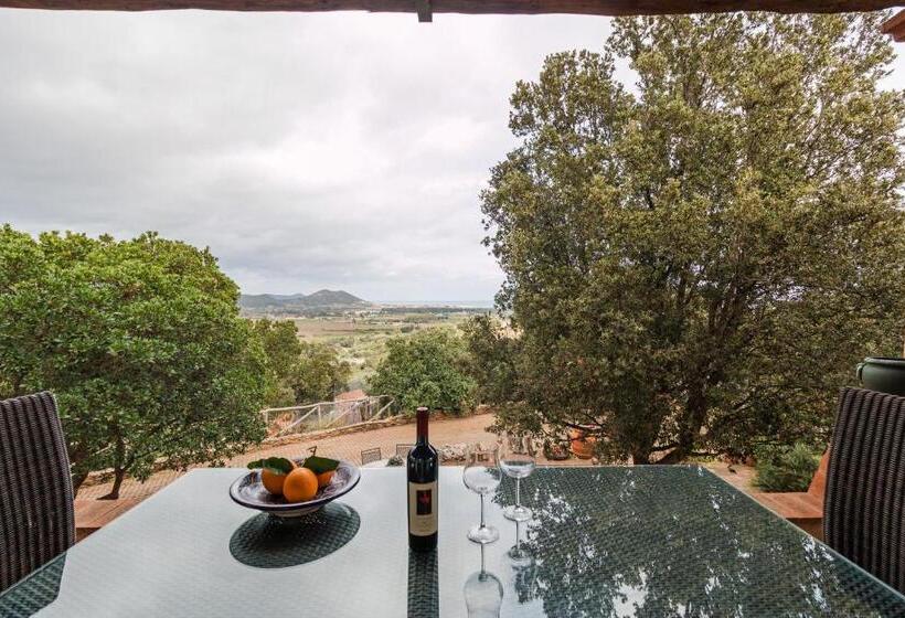 צימר Suite Cucinino, Bagno, Ingresso Indipendente In Villa Vìvì