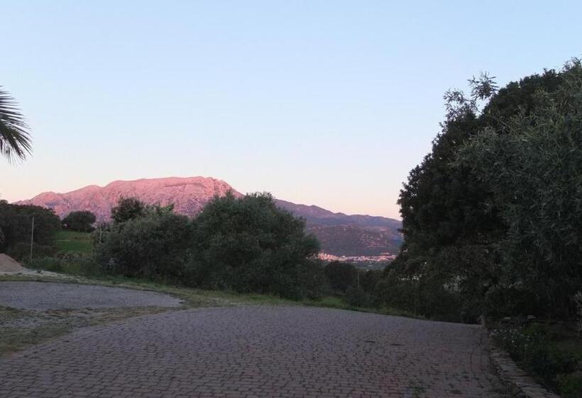 צימר Suite Cucinino, Bagno, Ingresso Indipendente In Villa Vìvì