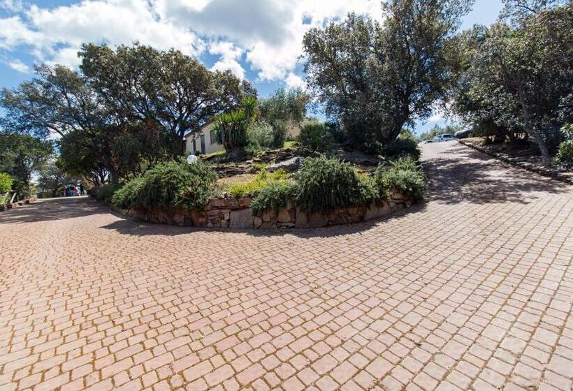 צימר Suite Cucinino, Bagno, Ingresso Indipendente In Villa Vìvì