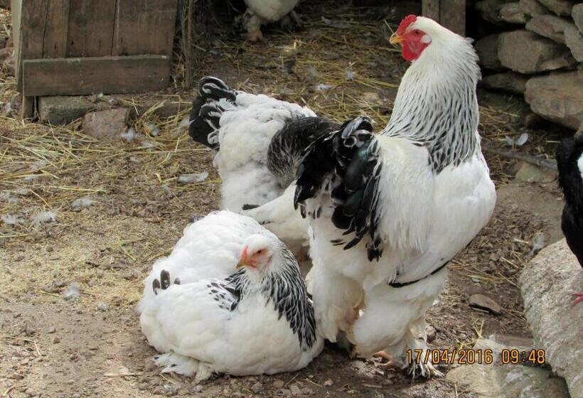 צימר Suite Cucinino, Bagno, Ingresso Indipendente In Villa Vìvì