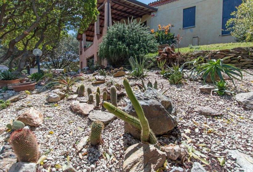 مبيت وإفطار Suite Cucinino, Bagno, Ingresso Indipendente In Villa Vìvì